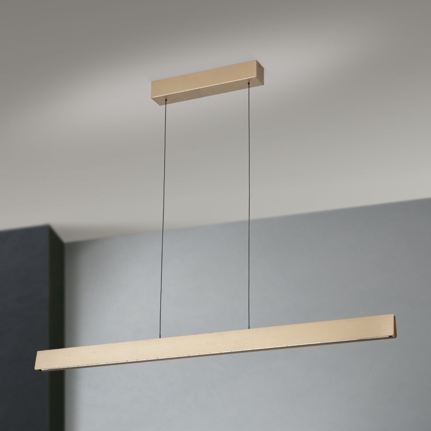 LED dimmbare Hängeleuchte an Seil TARA LED/44W/230V 2700/3800/4500/5700K gold