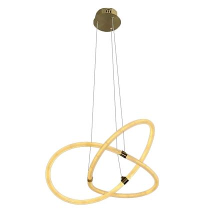 LED dimmbarer Kronleuchter an Kabel LED/30W/230V 3000-6500K Ø 49,9 cm + Fernbedienung
