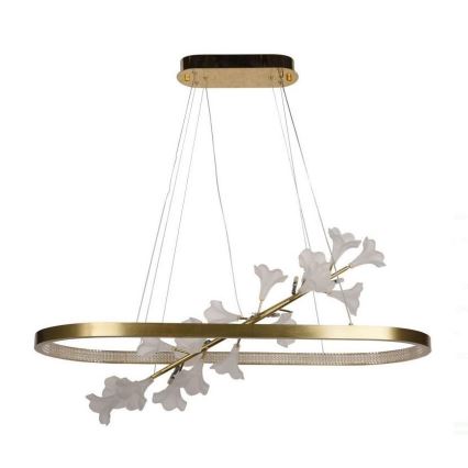 LED dimmbare Hängeleuchte an Seil LED/55W/230V 3000-6500K + Fernbedienung