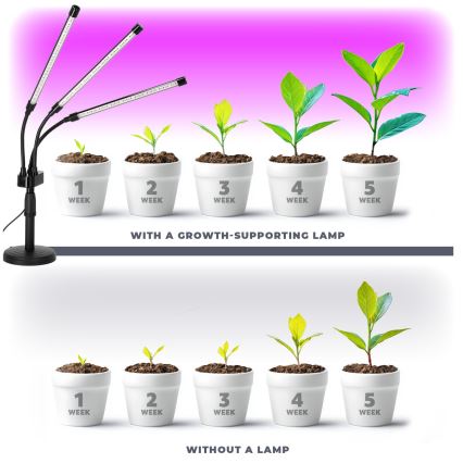 LED dimmbare flexible Tischlampe für Pflanzenzucht VITARO 3xLED/10W/230V schwarz