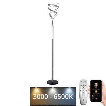 LED dimmbare Stehlampe LED/50W/230V 3000-6500K grau + Fernbedienung