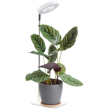 LED-dimmbare Tischlampe für Pflanzenzucht VERDI LED/5W/5V 1300K CRI 95 weiß