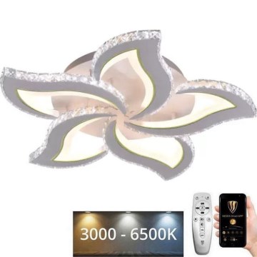 LED Dimmbarer Deckenleuchter LED/100W/230V 3000-6500K + Fernbedienung