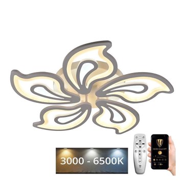 LED Dimmbarer Deckenleuchter LED/125W/230V 3000-6500K + Fernbedienung
