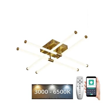 LED Dimmbarer Deckenleuchter LED/30W/230V 3000-6500K + Fernbedienung