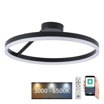 LED Dimmbarer Deckenleuchter LED/40W/230V 3000-6500K Schwarz + Fernbedienung