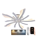LED Dimmbarer Deckenleuchter LED/55W/230V 3000-6500K + Fernbedienung