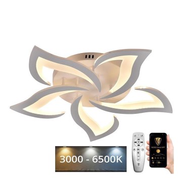 LED Dimmbarer Deckenleuchter LED/55W/230V 3000-6500K + Fernbedienung