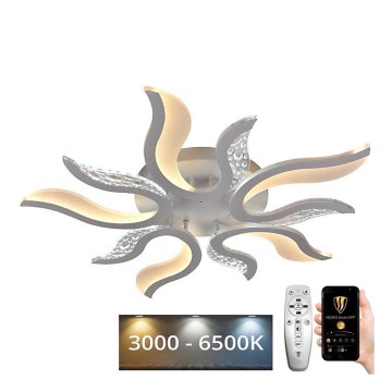 LED Dimmbarer Deckenleuchter LED/65W/230V 3000-6500K Weiß + Fernbedienung