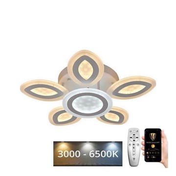 LED Dimmbarer Deckenleuchter LED/95W/230V 3000-6500K + Fernbedienung
