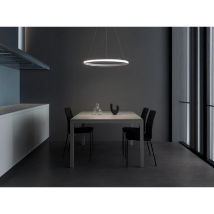 LED-dimmbare Pendelleuchte mit Seilaufhängung LED/55W/230V 3000-6500K Ø 60 cm + Fernbedienung