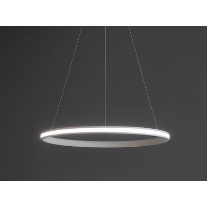 LED-dimmbare Pendelleuchte mit Seilaufhängung LED/55W/230V 3000-6500K Ø 60 cm + Fernbedienung