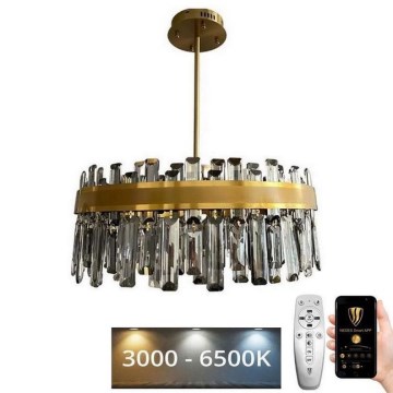 LED dimmbarer Kristall-Deckenleuchter an Stange LED/80W/230V 3000-6500K + Fernbedienung