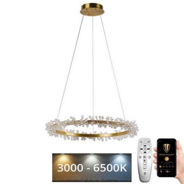 LED dimmbarer Kristall-Kronleuchter an Kabel LED/40W/230V 3000-6500K gold + Fernbedienung