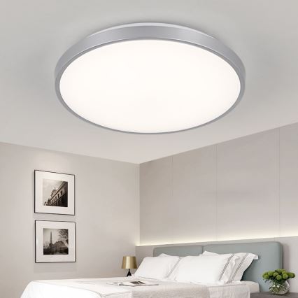 Nedes LC801A/SI - LED Deckenleuchte LC8 LED/50W/230V
