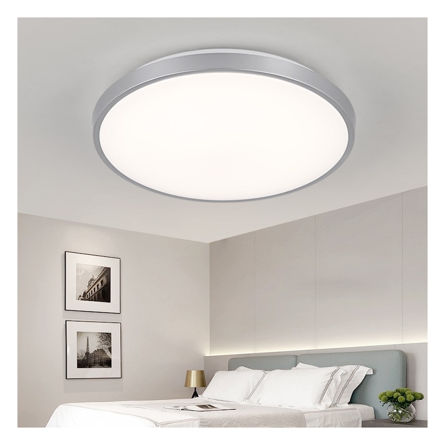 Nedes LC801A/SI - LED Deckenleuchte LC8 LED/50W/230V