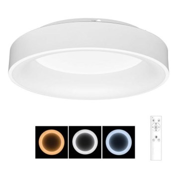 LED Dimmbares Deckenleuchte NEST LED/40W/230V 3000-6500K Weiß