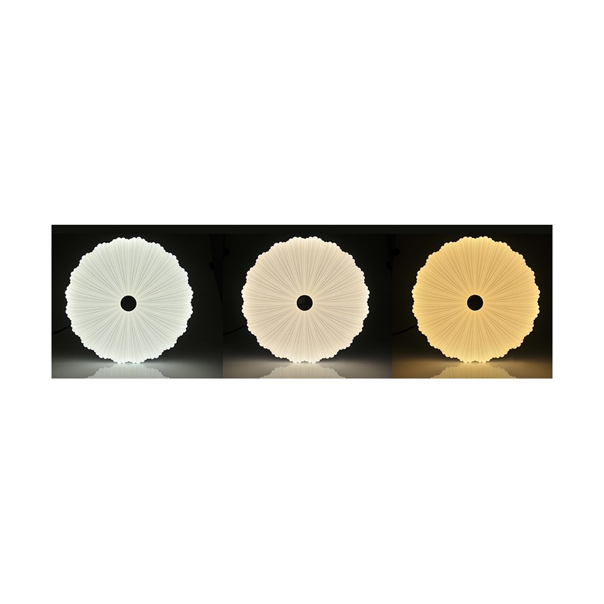 LED Dimmbares Deckenleuchte FLOWER LED/36W/230V + Fernbedienung