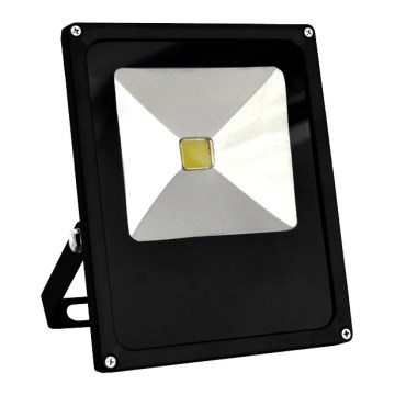 LED-Flutlicht 1xLED/30W/230V IP65