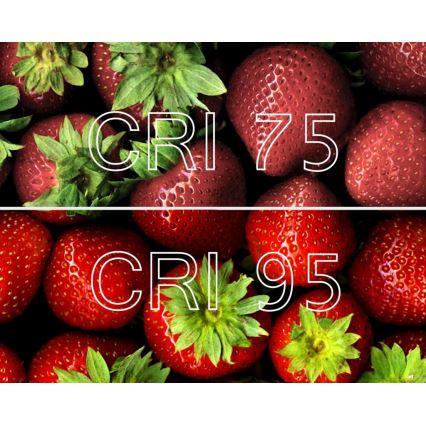 LED Glühbirne A60 E27/10W/230V 4100K CRI 95 Ra