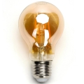 LED Glühbirne A60 E27/6W/230V 2200K - Aigostar