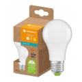LED-Glühbirne aus recyceltem Kunststoff A60 E27/8,5W/230V 2700K - Ledvance