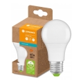 LED-Glühbirne aus recyceltem Kunststoff A60 E27/8,5W/230V 4000K - Ledvance