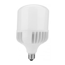 LED Glühbirne E27/30W/230V - Ecolite