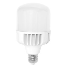 LED Glühbirne E40/50W/230V - Ecolite
