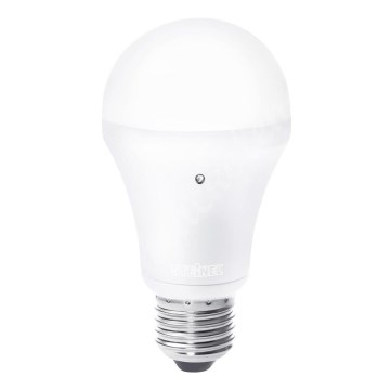 LED-Glühbirne mit Dämmerungsschalter E27/8,5W 710lm 3200K - STEINEL 008215
