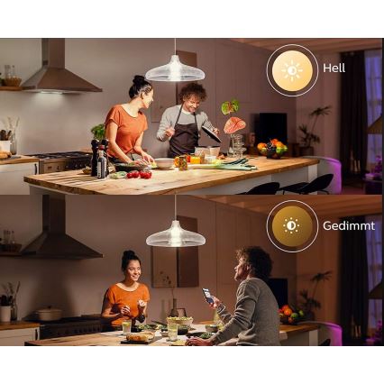 LED Glühbirne Philips Hue WHITE E67 E27/15,5W/230V