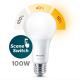 LED Glühbirne Philips SCENE SWITCH A67 E27/14W/230V 2200K-2700K