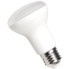 LED Glühbirne SPECTRUM R63 E27/8W/230V 6000K