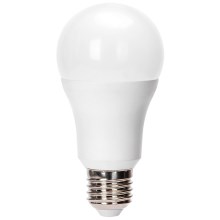 LED-Glühlampe A60 E27/24W/230V 6500K - Aigostar