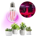 LED-Glühlampe für die Pflanzenzucht PLANTY E27/8W/230V 1200K