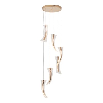 LED-Hängeleuchte 6xLED/10W/230V 3000K