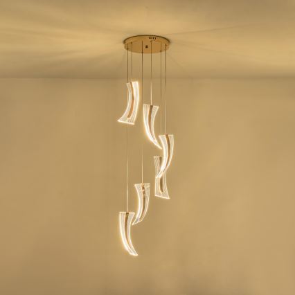 LED-Hängeleuchte 6xLED/10W/230V 3000K