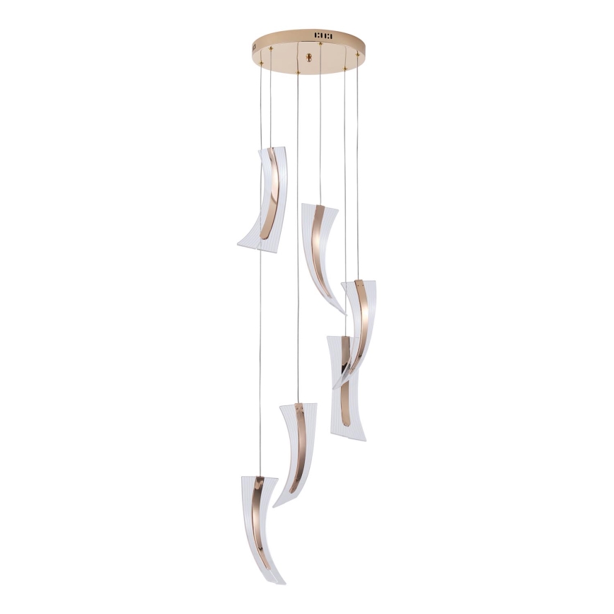LED-Hängeleuchte 6xLED/10W/230V 3000K