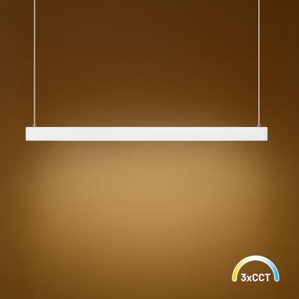LED-Hängeleuchte an Drahtseil LINEA LED/36W/230V 3000/4000/5700K CRI 90 Weiß