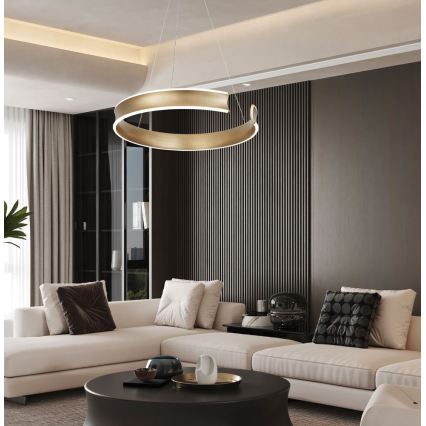 LED-Hängeleuchte an Kabel MARLEN LED/36W/230V goldfarben