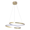 LED-Hängeleuchte an Kabel ZEFIRA LED/40W/230V 4000K Ø 50 cm gold