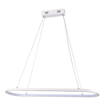 LED-Hängeleuchte an Schnur LED/24W/230V 4000K weiß