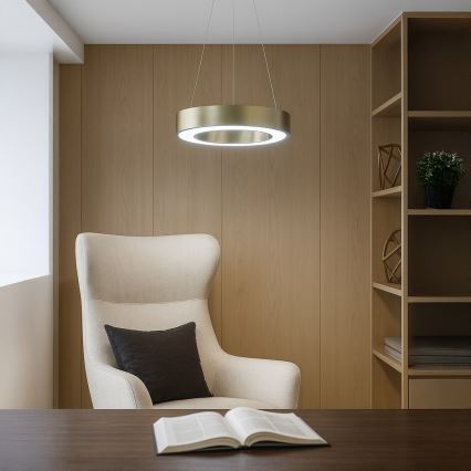 LED-Hängeleuchte an Stahlseil UNION LED/40W/230V 3000/4000/6500K Ø 40 cm goldfarben