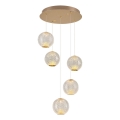LED Hängeleuchte CREMONA 5xLED/5W/230V 3000K gold