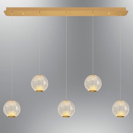 LED Hängeleuchte CREMONA 5xLED/5W/230V 3000K gold