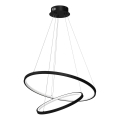 LED-Hängeleuchte HOOP LED/51W/230V d 60 cm 4000K schwarz