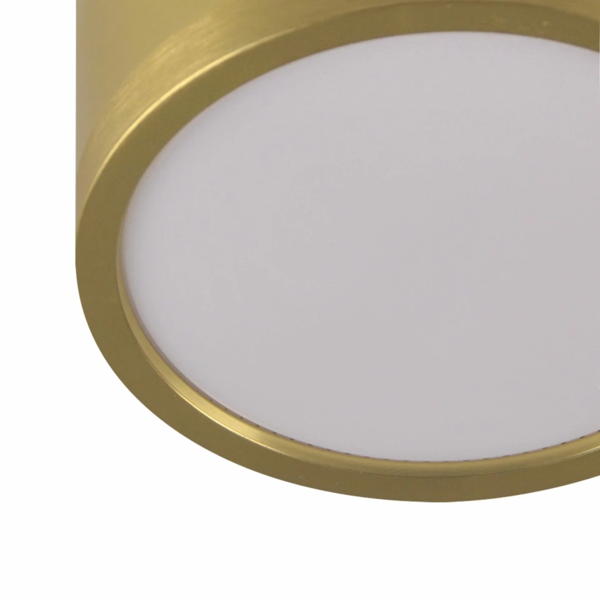 LED-Hängeleuchte MIRELLA 4xGX53/6W/230V golden/schwarz