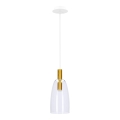 LED Hängeleuchte MODENA LED/5W/230V