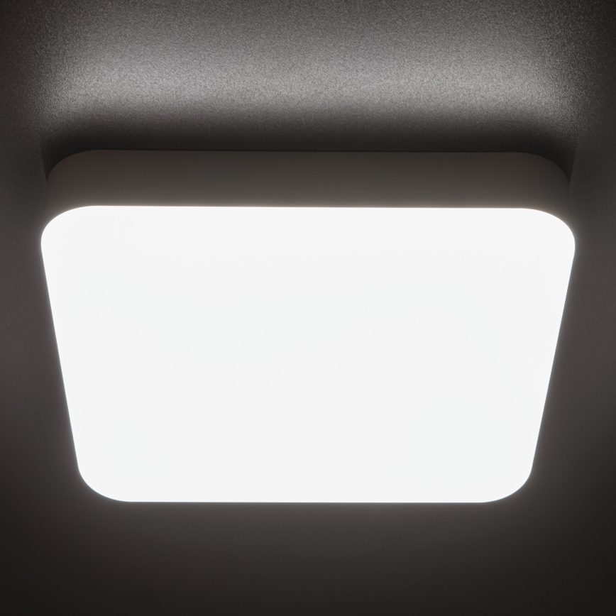 LED-Hochleistungs-Deckenleuchte mit Bewegungssensor IPER LED/19W/230V IK10 IP65 eckig weiß