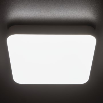 LED-Hochleistungs-Deckenleuchte mit Bewegungssensor IPER LED/26W/230V IK10 IP65 eckig weiß